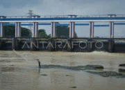 DLH Tangerang: Kualitas Air Sungai Cisadane Sudah Penuhi Baku Mutu