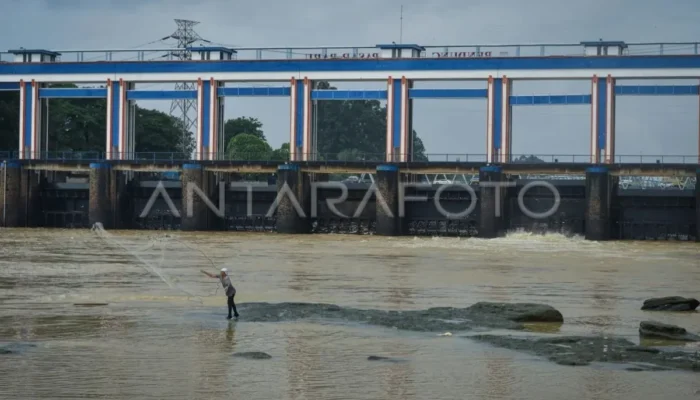 DLH Tangerang: Kualitas Air Sungai Cisadane Sudah Penuhi Baku Mutu