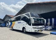 Horre, DAMRI Bakal uncurkan Layanan Bus AKAP Rute Jakarta-Bali