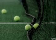 Pemprov DKI: 185 Lapangan Padel di Jakarta Tak Kantongi Izin PBG