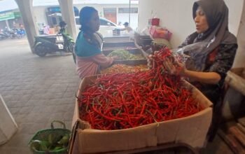 Pedagang cabai pasar Johar melayani pembeli di lapaknya