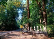 Identitas Mayat di Gubuk Hutan Darupono Terungkap, Ternyata Warga Demak yang Mengembara