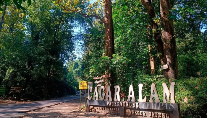 Identitas Mayat di Gubuk Hutan Darupono Terungkap, Ternyata Warga Demak yang Mengembara