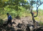 Penggembala Sapi yang Hilang di Taman Nasional Baluran Sejak Minggu Masih Misteri