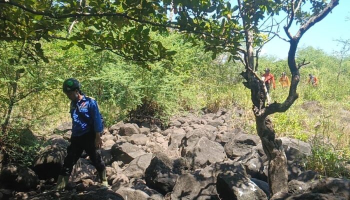 Penggembala Sapi yang Hilang di Taman Nasional Baluran Sejak Minggu Masih Misteri