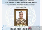 Lagi, RI Desak PBB Gelar Investigasi Usai Gugurnya Praka Rico