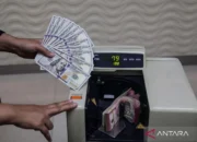 Pengamat Sebut Kebijakan BI Tahan Rupiah Tak Terjun Bebas