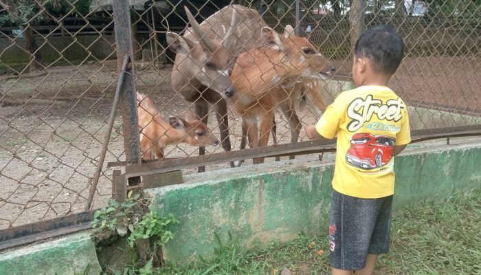 Sambut Hari Jadi Kota ke -479, Semarang Zoo Siapkan Diskon Tiket untuk Pengunjung