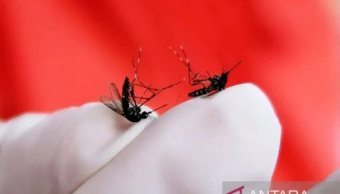 Perubahan Iklim Tingkatkan Risiko DBD, Malaria, dan Diare pada Anak