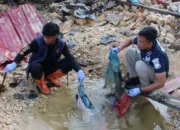 Sterilisasi TKP Bom Biak oleh Polisi Terkendala Cuaca