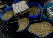 Pemerintah Berikan Subsidi Harga Kedelai Rp 2.000 Per Kg untuk Perajin