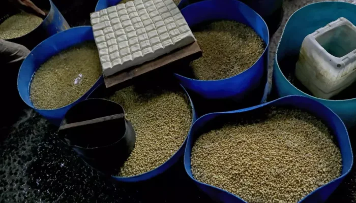 Pemerintah Berikan Subsidi Harga Kedelai Rp 2.000 Per Kg untuk Perajin