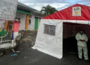 Dinas Sosial Kabupaten Sigi saat mendirikan tenda di depan Puskesmas Makmur Kecamatan Palolo sebagai tempat pasien dirawat akibat gempa bumi di daerah tersebut, Selasa (16/6/2026)
