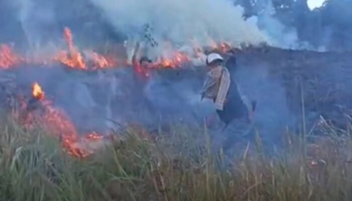 Kebakaran Savana Propok Gunung Rinjani Belum Bisa Dipadamkan, Pengelola Akui Keterbatasan Personel