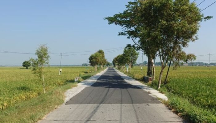 Begini Kondisi Jalan ke Kampung Istri Bahlil yang Kini Diperlebar, Kades Buka Suara