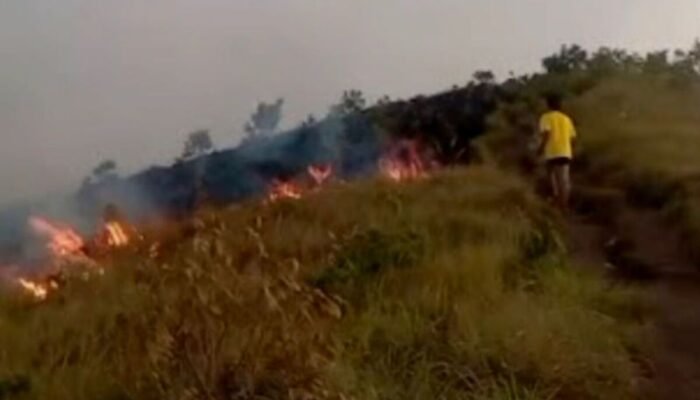 Bukit Sempana Gunung Rinjani di Lombok Timur Terbakar, Sebanyak 25 Wisatawan Dievakuasi