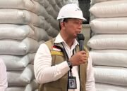 Dirut Bulog: MinyaKita Berbau Solar Segera Ditarik, Konsumen Akan Diganti