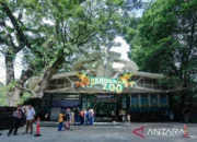 Pengelola Baru Bandung Zoo Wajib Bayar Rp 4,3 Miliar per Tahun