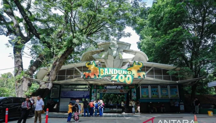 Pengelola Baru Bandung Zoo Wajib Bayar Rp 4,3 Miliar per Tahun