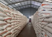 Ekonom Sebut Ada Kemajuan Tata Kelola Cadangan Beras