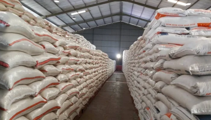 Ekonom Sebut Ada Kemajuan Tata Kelola Cadangan Beras