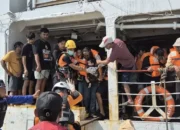 Gagal Berlabuh Terhalang Kapal Kandas, 253 Penumpang KM Sewindu Dievakuasi