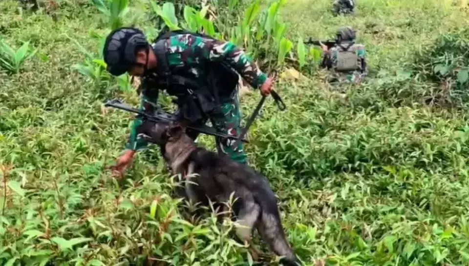 Anggota TNI melakukan penyisiran di Pegunungan Bintang