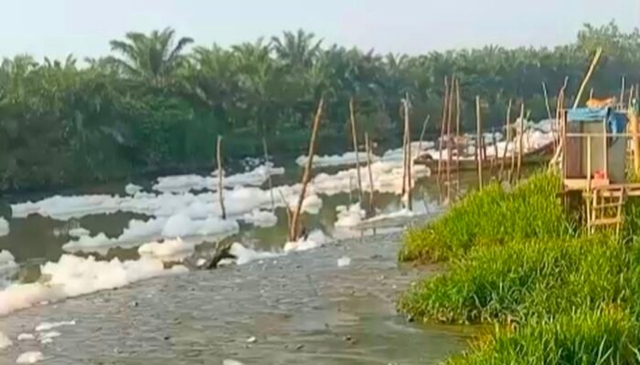 Sungai Percut Tercemar Limbah Pabrik, DLH Deli Serdang: Bisa Dipidana