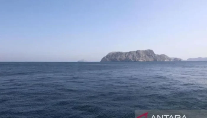 Pembersihan Ranjau di Selat Hormuz Butuh Waktu Dua Bulan