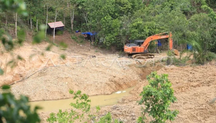 Tambang Emas Ilegal di Aceh Minta Dihentikan