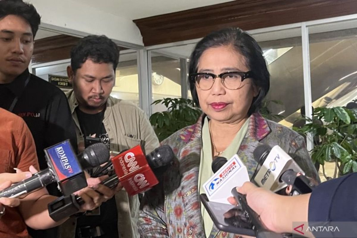Komisi IX DPR RI Irma Suryani Chaniago