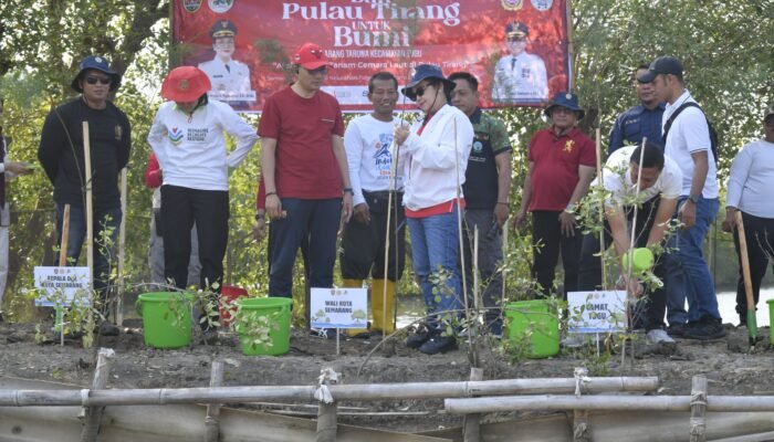 Wali Kota Agustina Wilujeng Ajak Karang Taruna Rawat Bibit Cemara Laut di Pulau Tirang