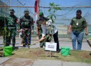 Walikota Agustina Sebut TMMD Bangun Kualitas Hidup Warga