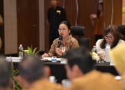 Wali Kota Agustina Usulkan Pembagian Kewenangan Jelas dalam RUU Kawasan Industri