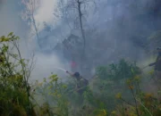 Kawasan Gunung Bromo Terbakar, Pemadaman Terkendala Lereng Curam