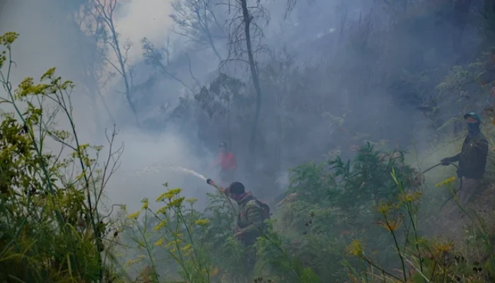 Kawasan Gunung Bromo Terbakar, Pemadaman Terkendala Lereng Curam