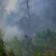 Sejumlah petugas berupaya memadamkan kebakaran hutan di Blok Bantengan, kawasan Taman Nasional Bromo Tengger Semeru (TNBTS),Probolinggo.