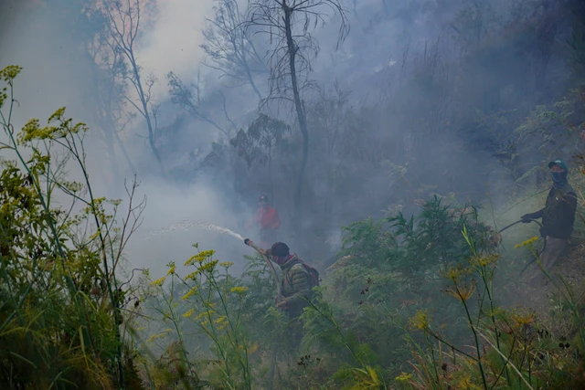 Sejumlah petugas berupaya memadamkan kebakaran hutan di Blok Bantengan, kawasan Taman Nasional Bromo Tengger Semeru (TNBTS),Probolinggo.