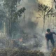 Upaya pemadaman Karhutla di Nabire