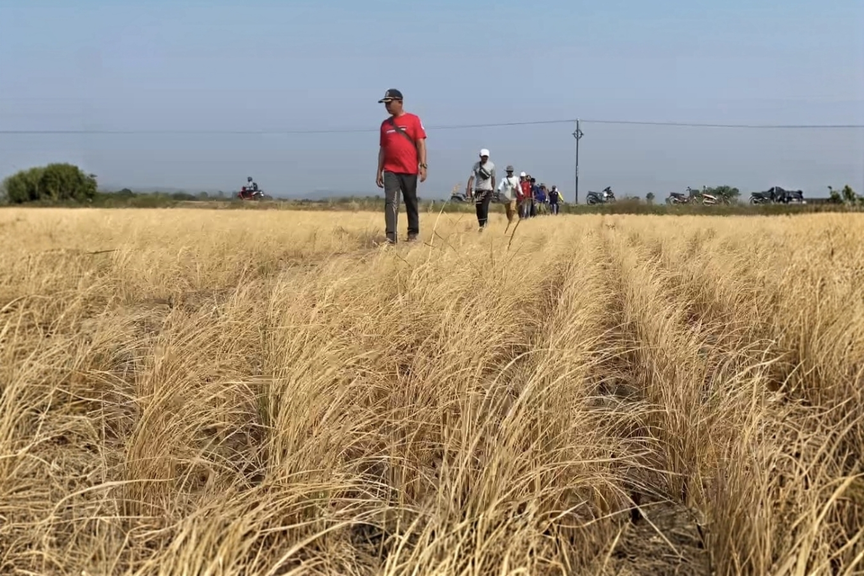 Kekeringan yang melanda Kabupaten Majalengka, Jawa Barat,