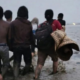 Aksi heroik bidan desa Langkat terobos laut selamatkan pasien