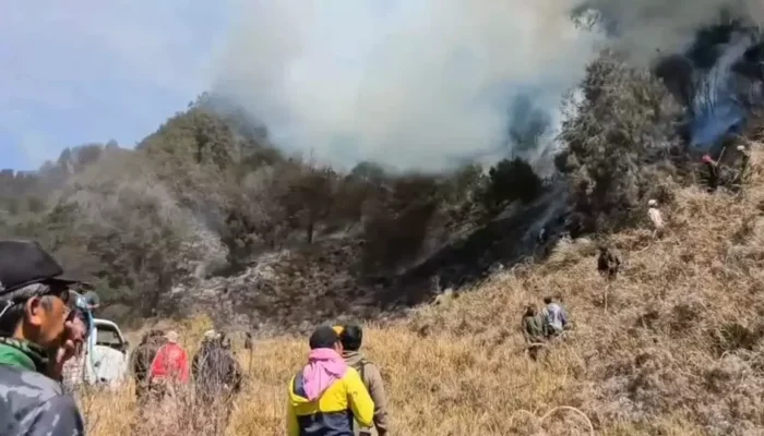 Kewalahan Padamkan Karhutla Bromo, Pemerintah Akan Buat Hujan Buatan