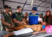 Obat-obatan untuk Warga NTT Terdampak Gempa Dipastikan Aman untuk Lima Hari ke Depan