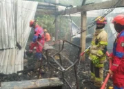 Ribuan Ekor Ayam di Karanganyar Hangus Terbakar, Kerugian Pemilik Capai Rp 1,2 M