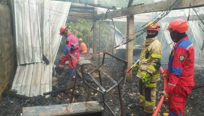 Ribuan Ekor Ayam di Karanganyar Hangus Terbakar, Kerugian Pemilik Capai Rp 1,2 M