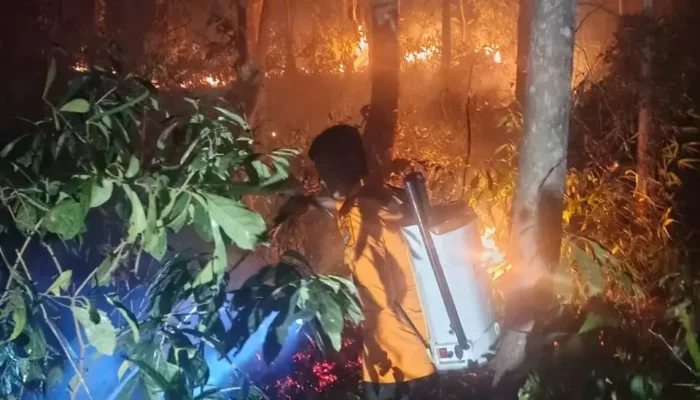 Ratusan Ribu Masker dan Oksigen Disalurkan untuk Korban Karhutla