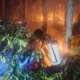 Kebakaran hutan dan lahan (karhutla) menghanguskan lahan perkebunan jati milik warga seluas sekitar 1 hektare di Desa Siuna, Banggai, Sulawesi Tengah,