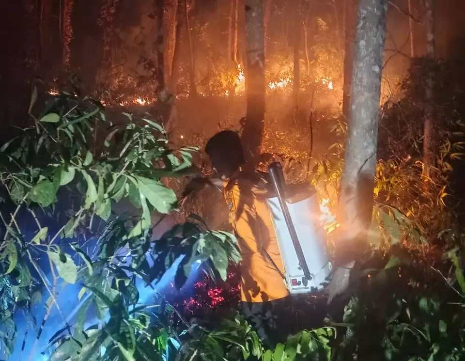 Kebakaran hutan dan lahan (karhutla) menghanguskan lahan perkebunan jati milik warga seluas sekitar 1 hektare di Desa Siuna, Banggai, Sulawesi Tengah,