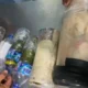 Sejumlah satwa yang diamankan BKSDA Maluku dari penumpang kapal di Pelabuhan Yos Sudarso Ambon.