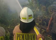 Kebakaran yang Sebabkan KRL di Jakut Alami Gangguan Diduga Akibat Puntung Rokok